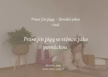 Jin jóga uvolnění u stěny - 1 hodina