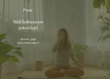 Pránájáma Nádí sódhana s počítáním dechu - pro pokročilejší praktikující
