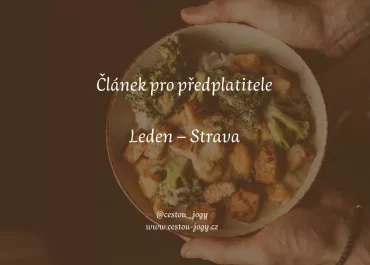 Leden - strava