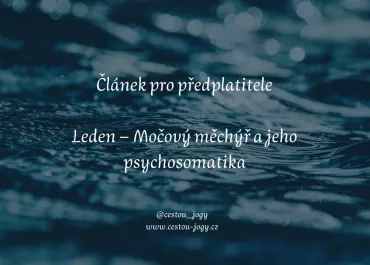 Leden - močový měchýř a jeho psychosomatika