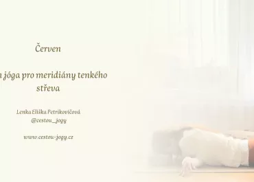 Jin jóga pro meridián tenkého střeva